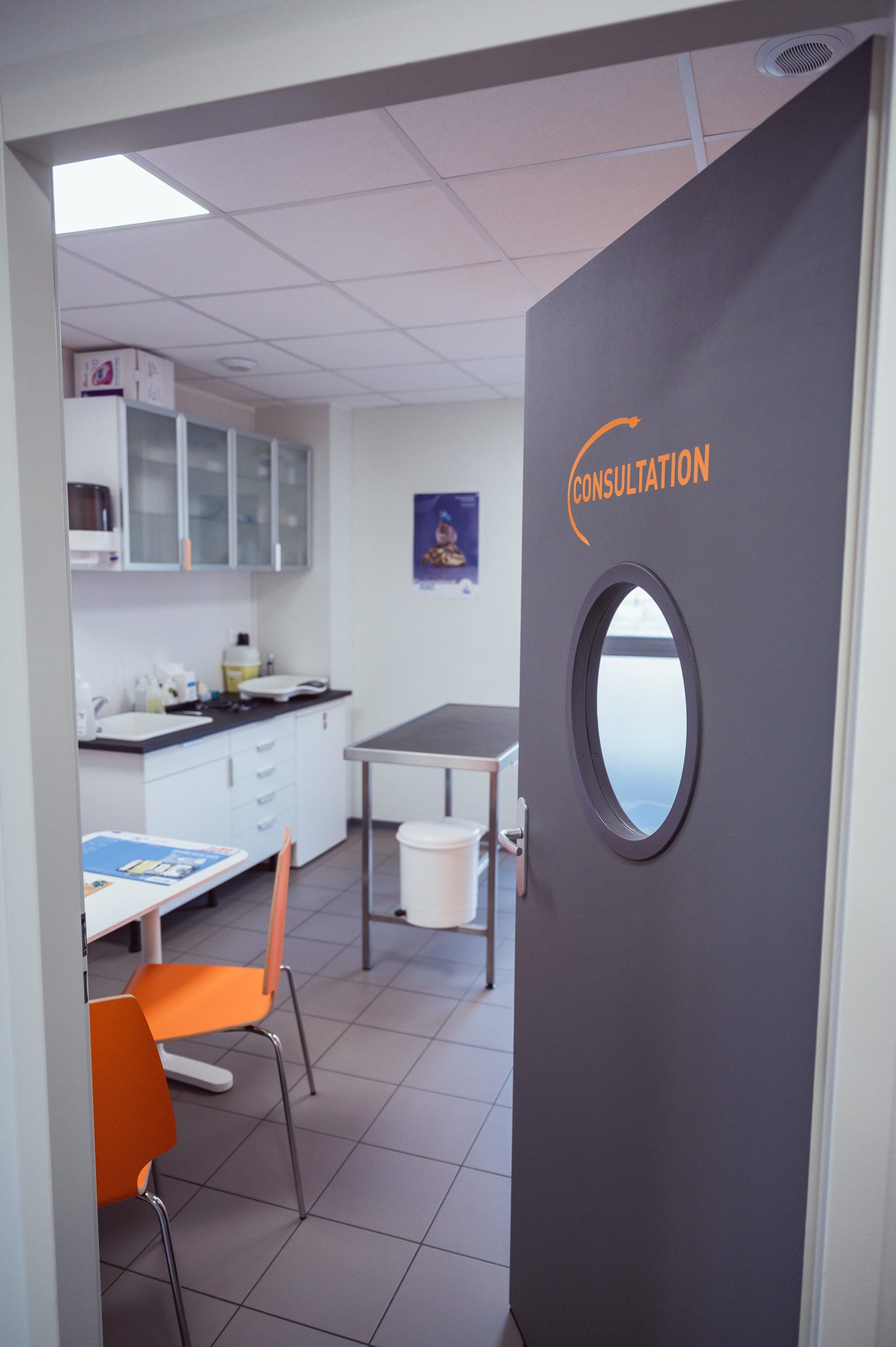 Enucléation de poule