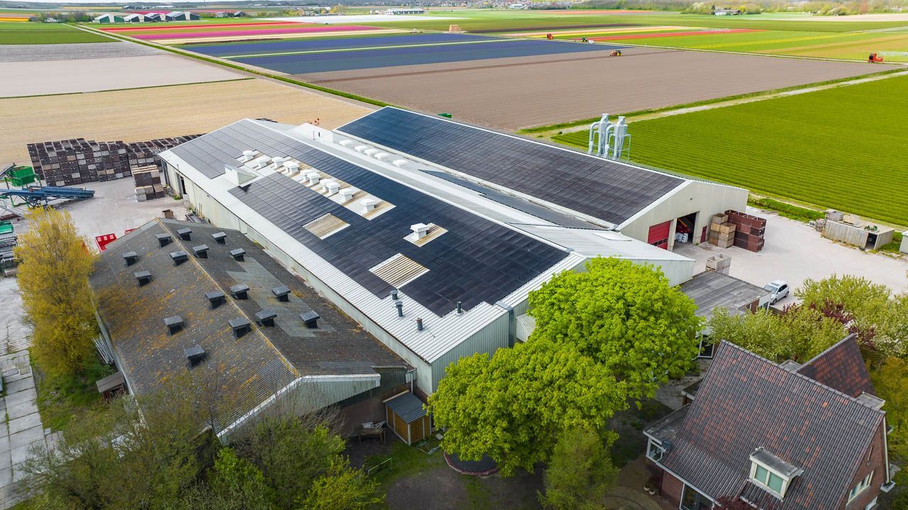 Bollenschuur Callantsoog NL