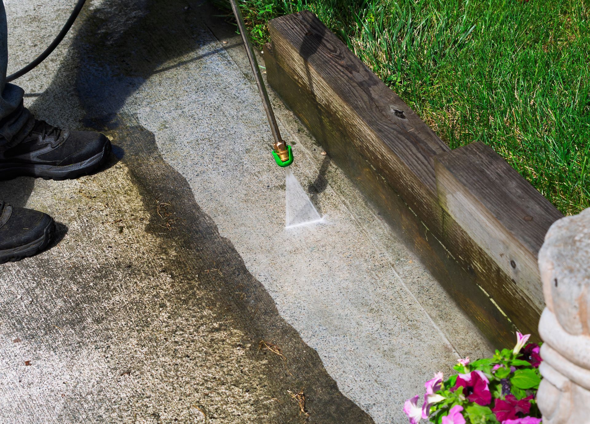 Dog potty area on a concrete path beside a wooden planter, with a small cone marker and flowers nearby