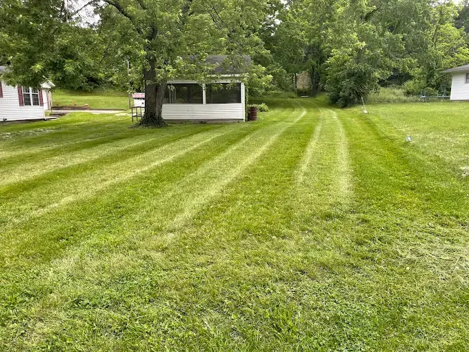 Grassy lawn with fresh mower stripes, a white gazebo, and trees in a suburban yard