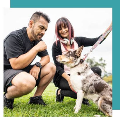 Behaviour Modification and Consultations - Bendigo, VIC - Evolve K9 Training Solutions