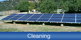Solar Panel in Grass - Solar Panel Cleaners