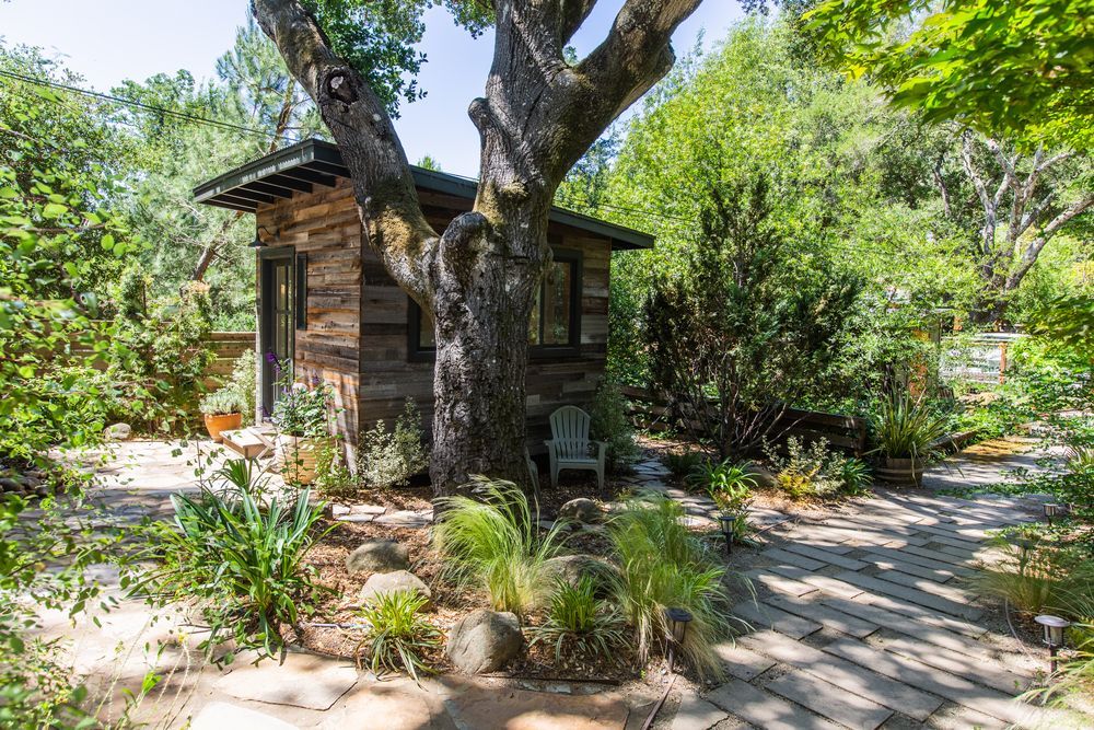 A small wooden house is sitting under a tree in the middle of a forest.