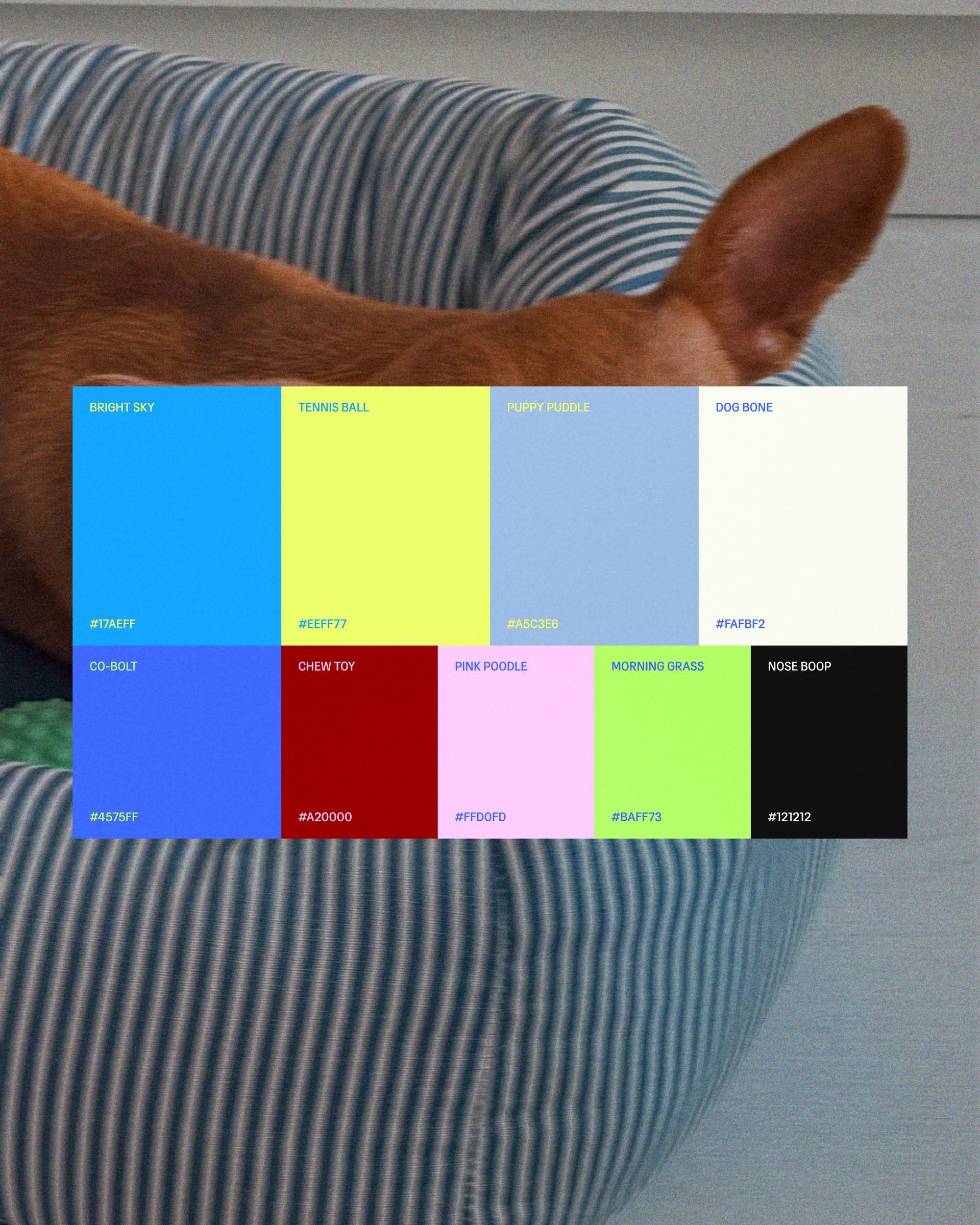 A bunch of boxes with a mouse in them