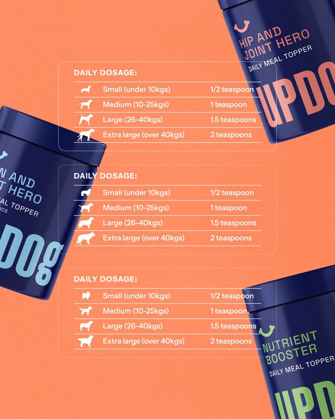 A bunch of boxes with a mouse in them