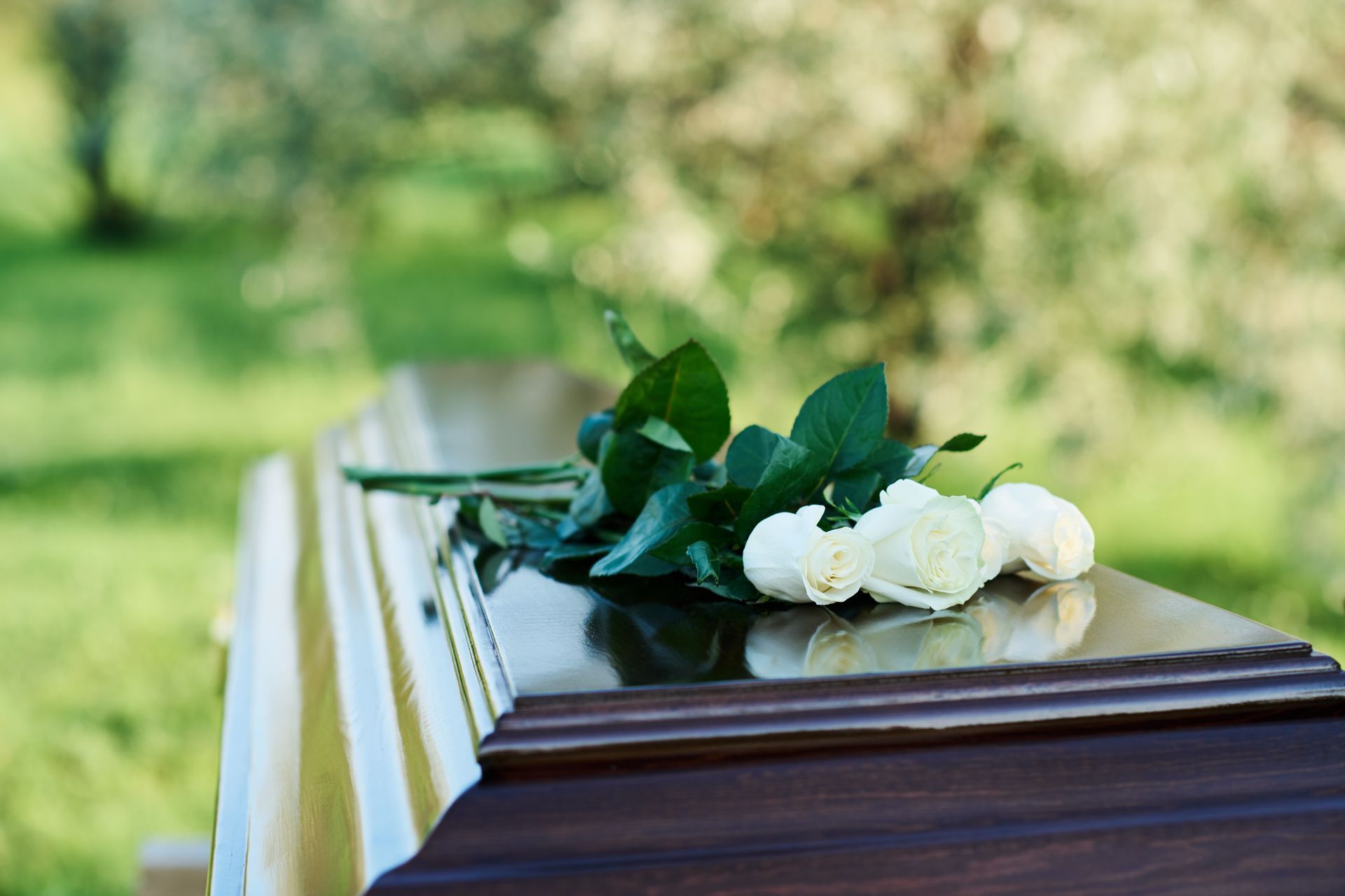 Three white roses resting on top of a polished wooden casket in an outdoor setting.