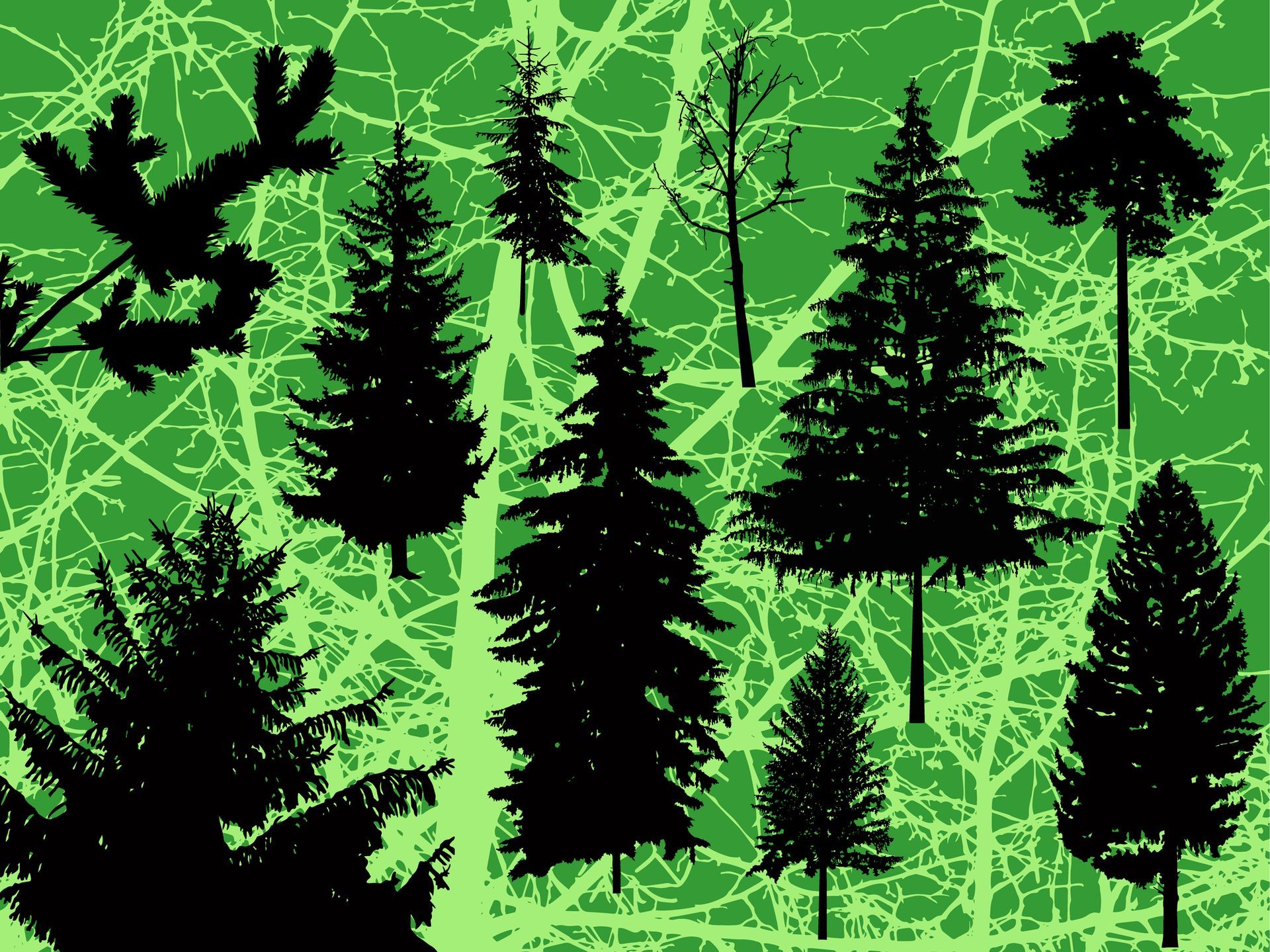 Silhouetten van bomen op een groene achtergrond ter illustratie van evergreen content.