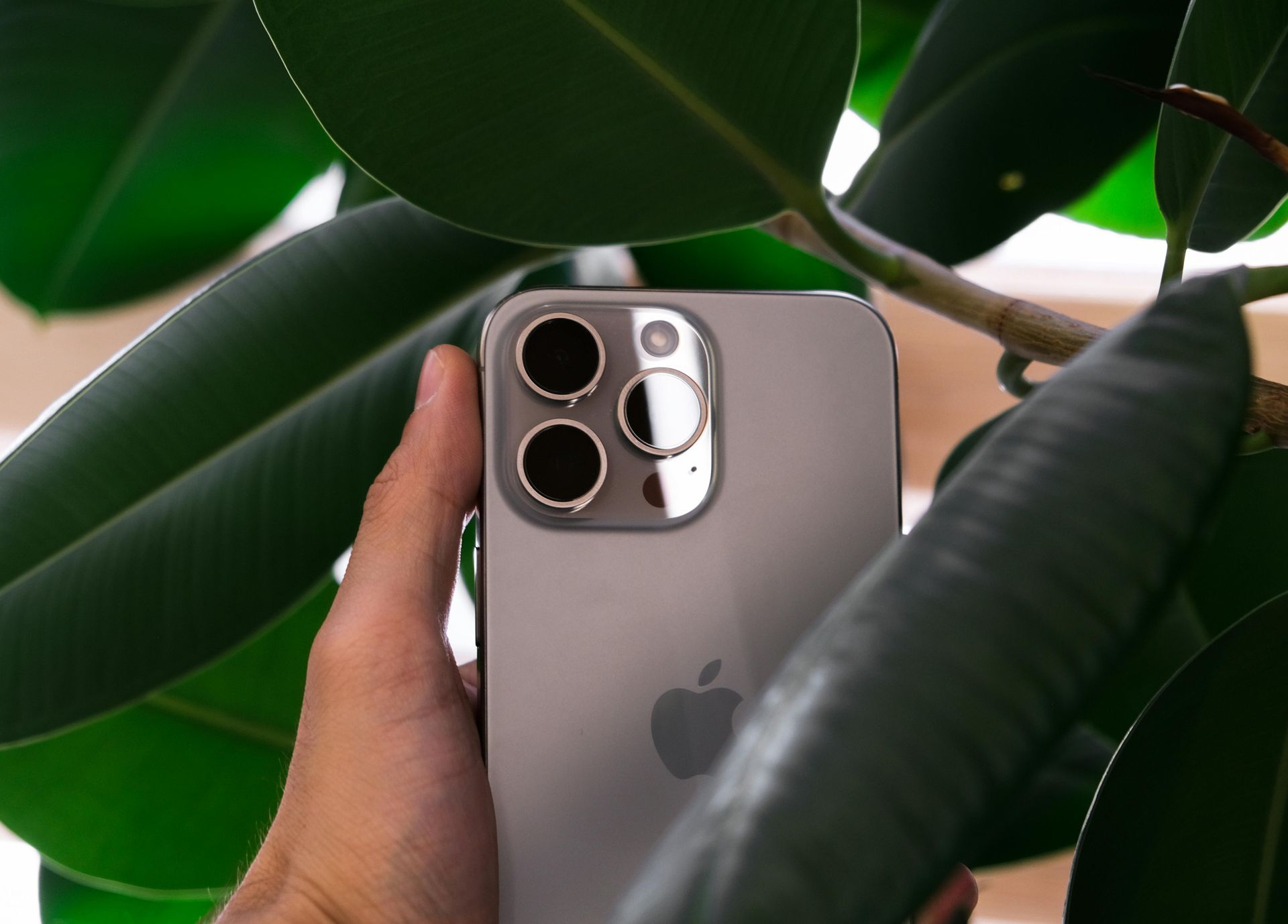 De achterkant van een iPhone 14 in de hand van iemand tussen een stel plantenbladeren.