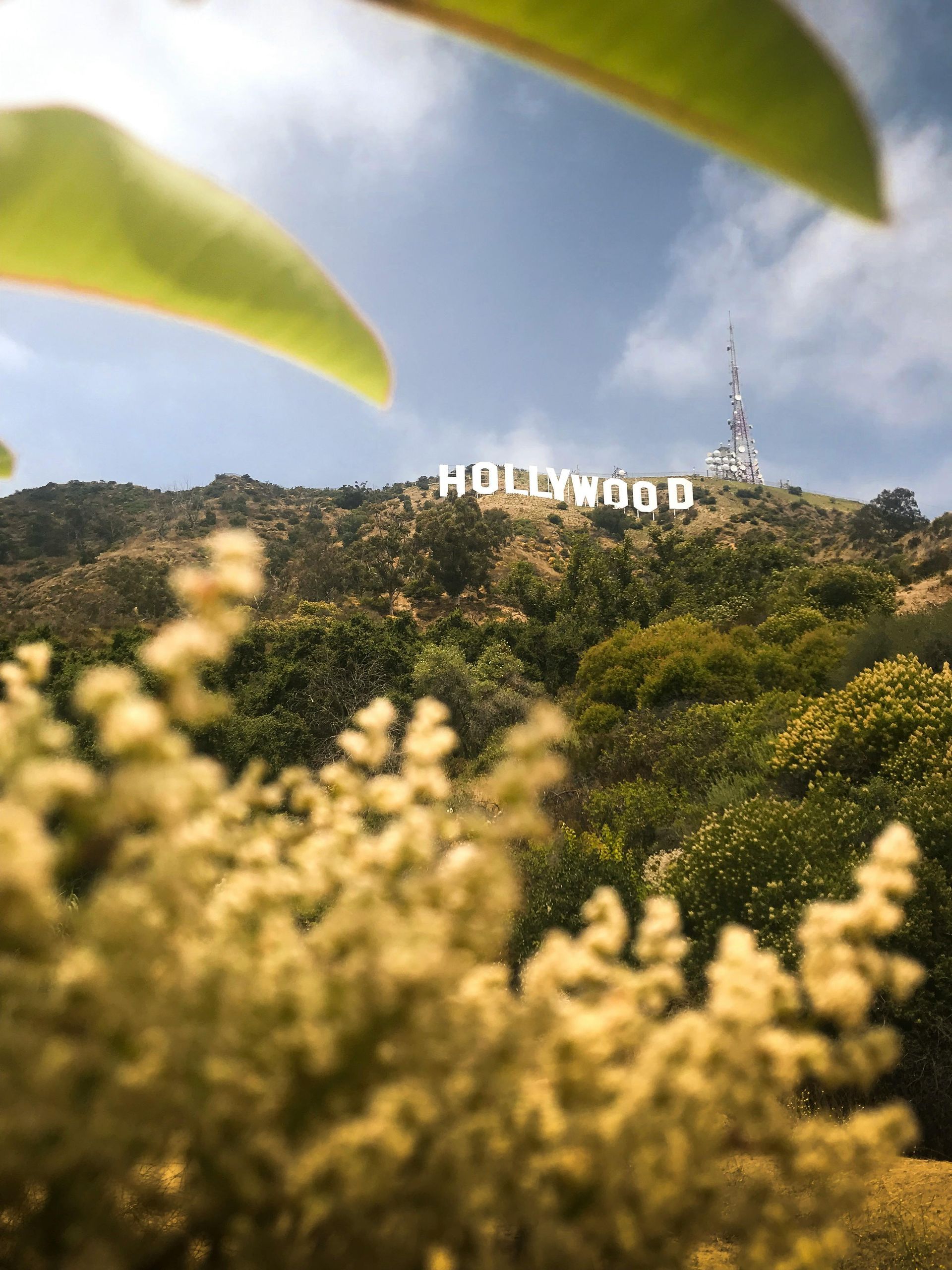 De beroemde Hollywood-sign op de heuvels rond Los Angeles.