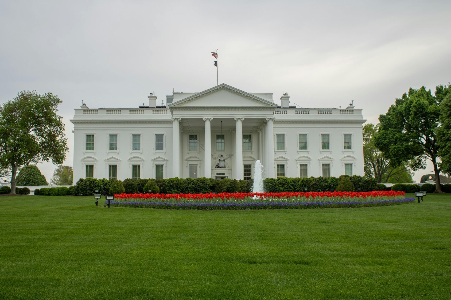 Het Witte Huis in Washington met rode bloemen in bloei in de voorliggende tuin.