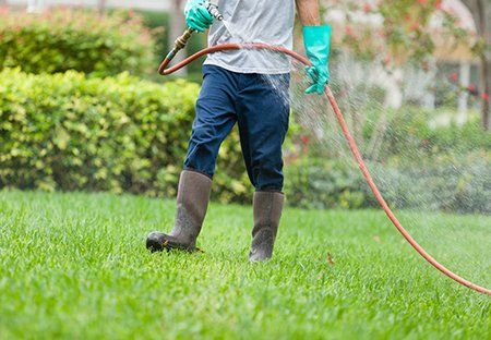 Pest Control — Spraying Pesticides in Moses Lake, WA