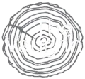 The Vaughn Apartments Header Logo - Select to go home