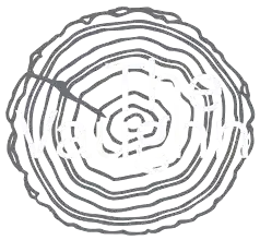 The Vaughn Apartments Header Logo - Select to go home