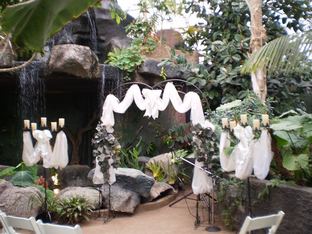 A waterfall is in the background of a wedding ceremony