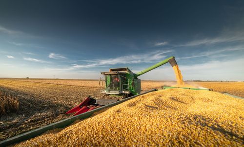 A combine harvester pours golden corn into a waiting grain cart in a field under a blue sky.