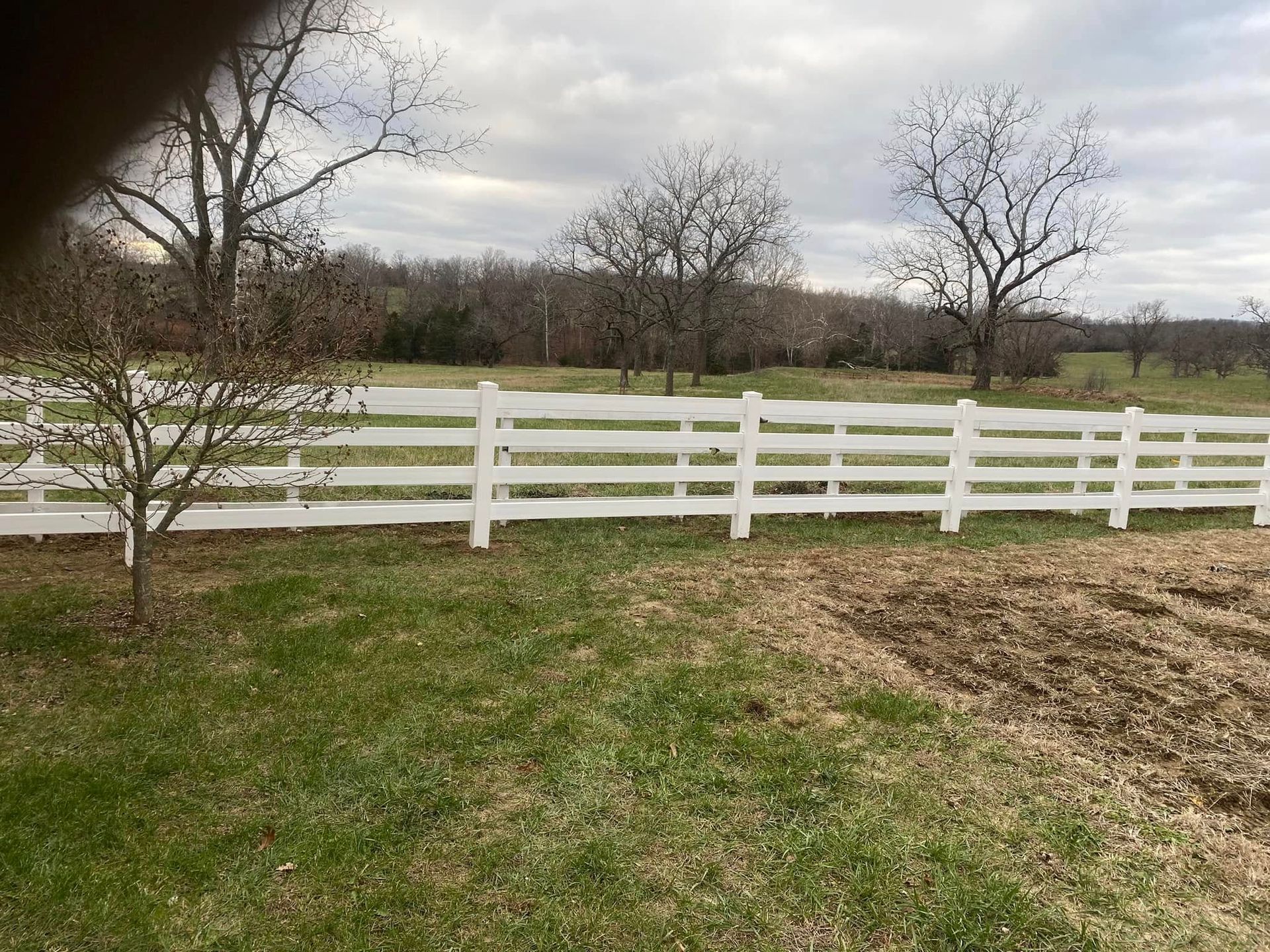 White fence in a grassy field with trees under a cloudy sky.