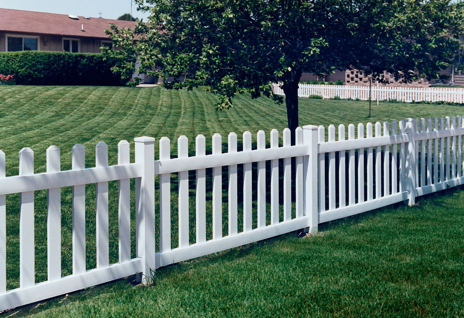 White picket fence in a grassy yard, with a tree and houses in the background.
