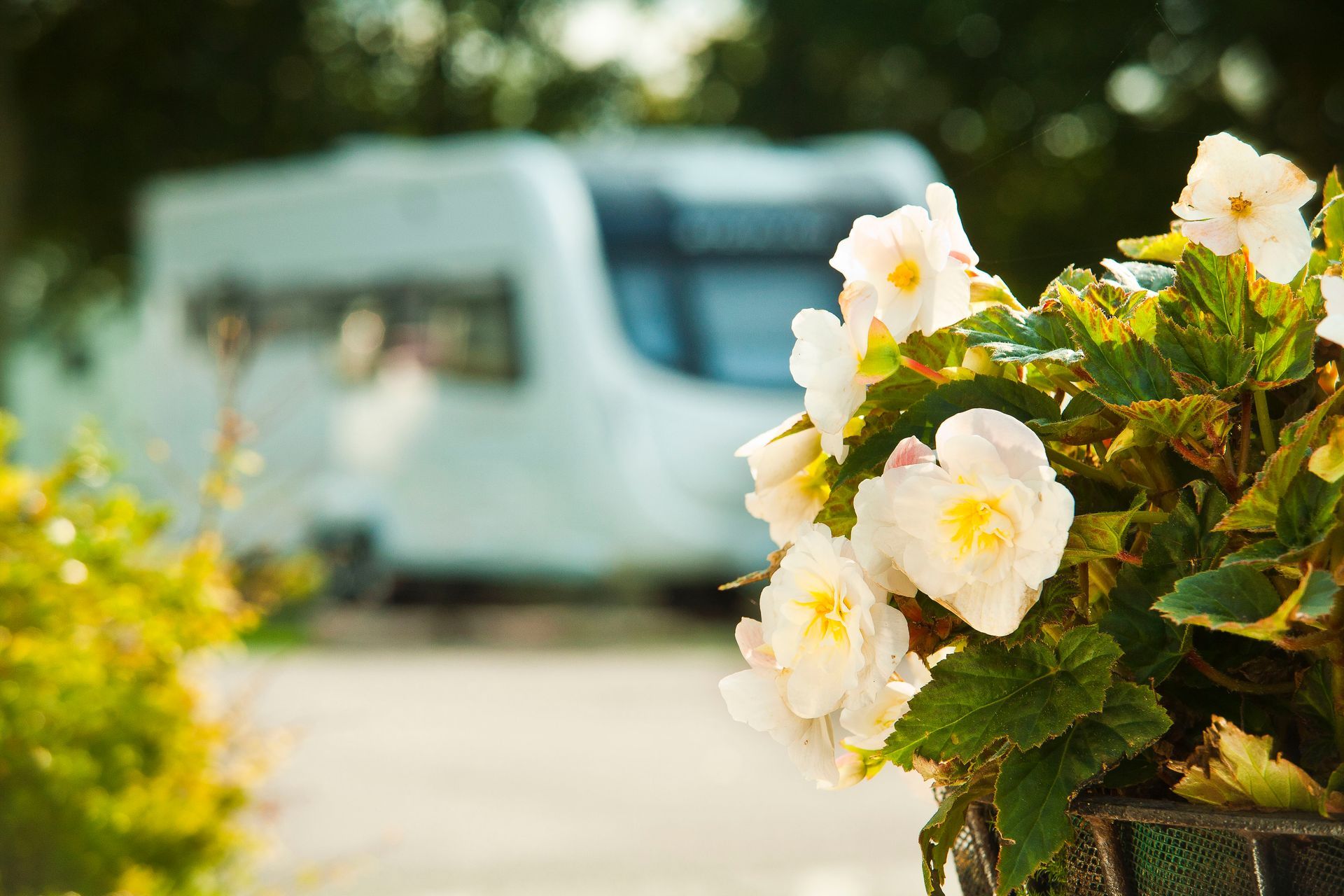 Vale of Pickering Caravan Park near Pickering in the North Yorkshire countryside