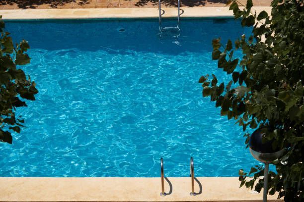 A large swimming pool with a tree in the background