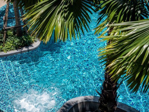 A swimming pool with a palm tree in the middle of it.