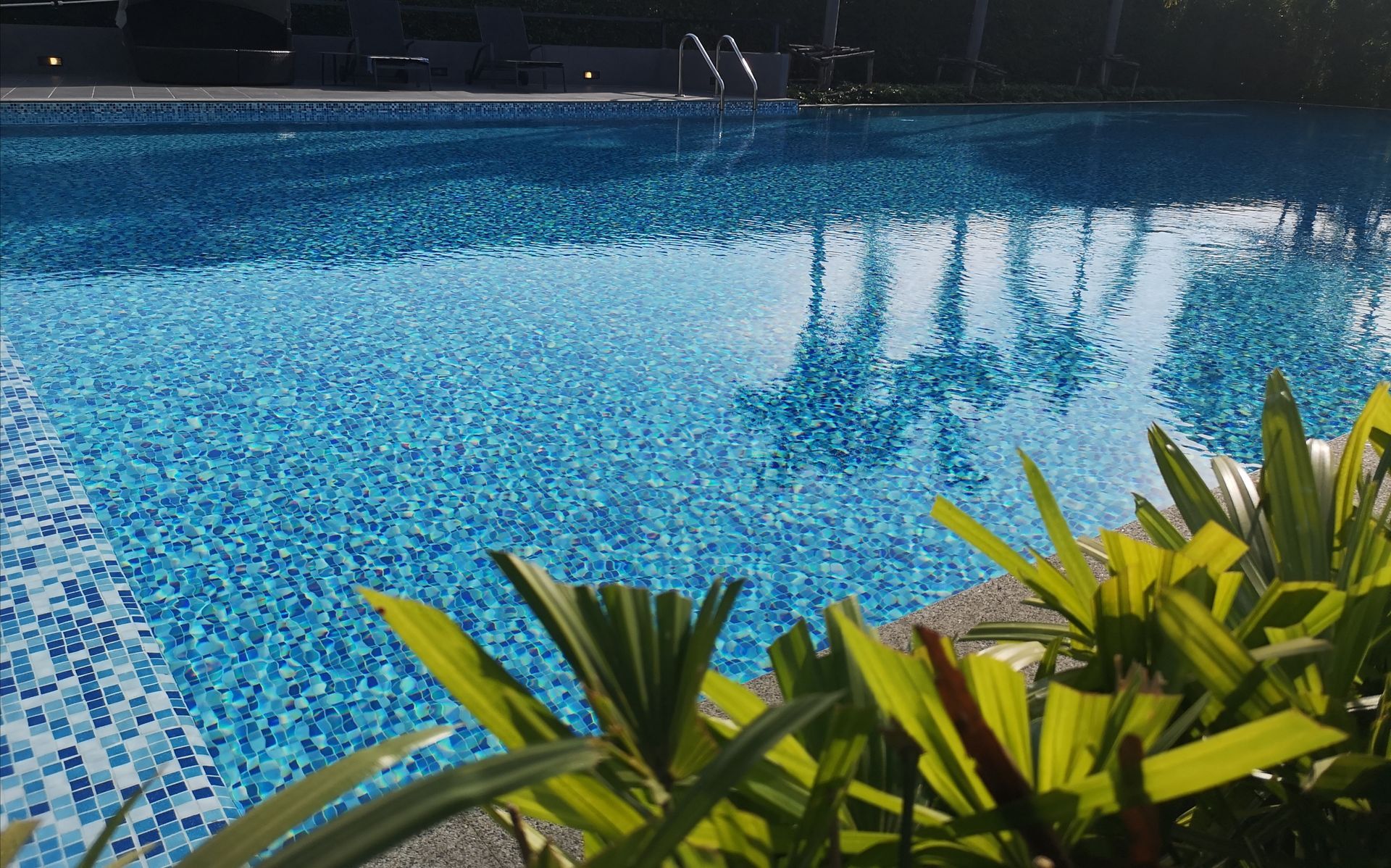 A large swimming pool surrounded by plants and trees.