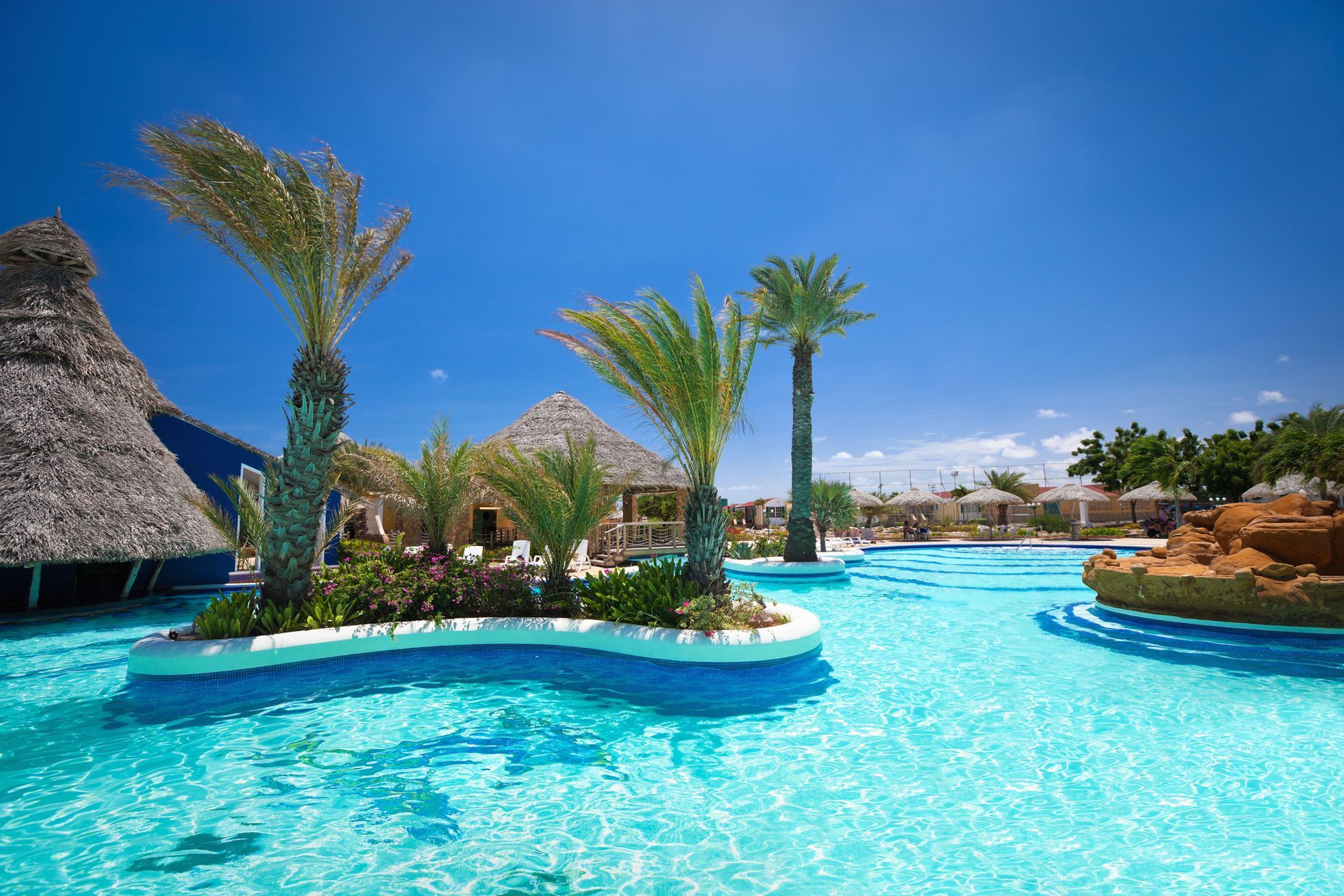 A large swimming pool with a small island in the middle surrounded by palm trees.