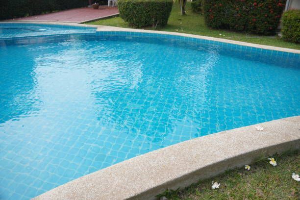 A large swimming pool surrounded by grass and bushes in a backyard.