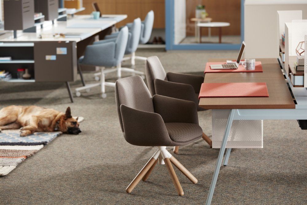 Benching & Desking Open Plan _Office Environments_Love Your Space