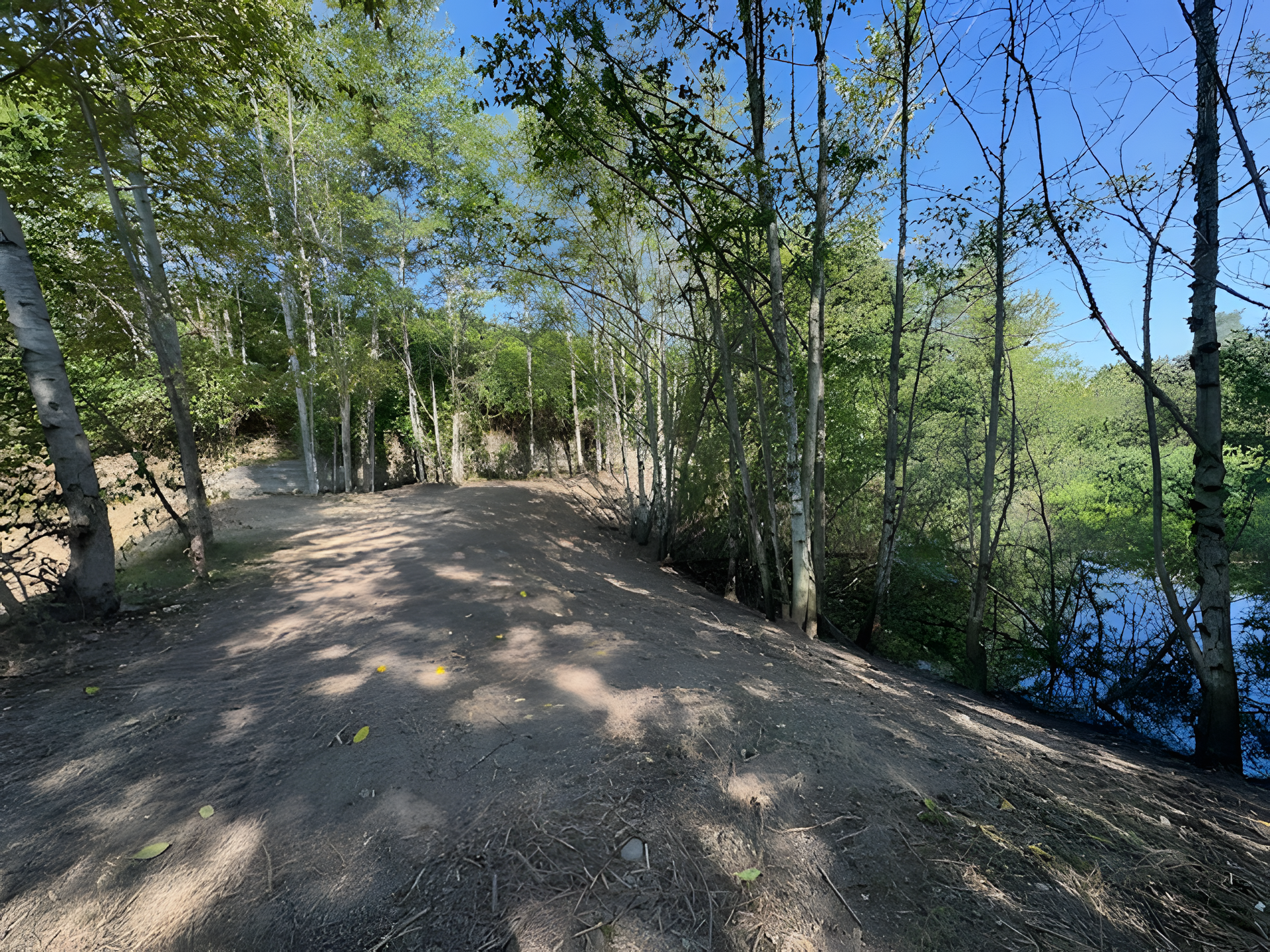 A dirt road going through a forest next to a river.