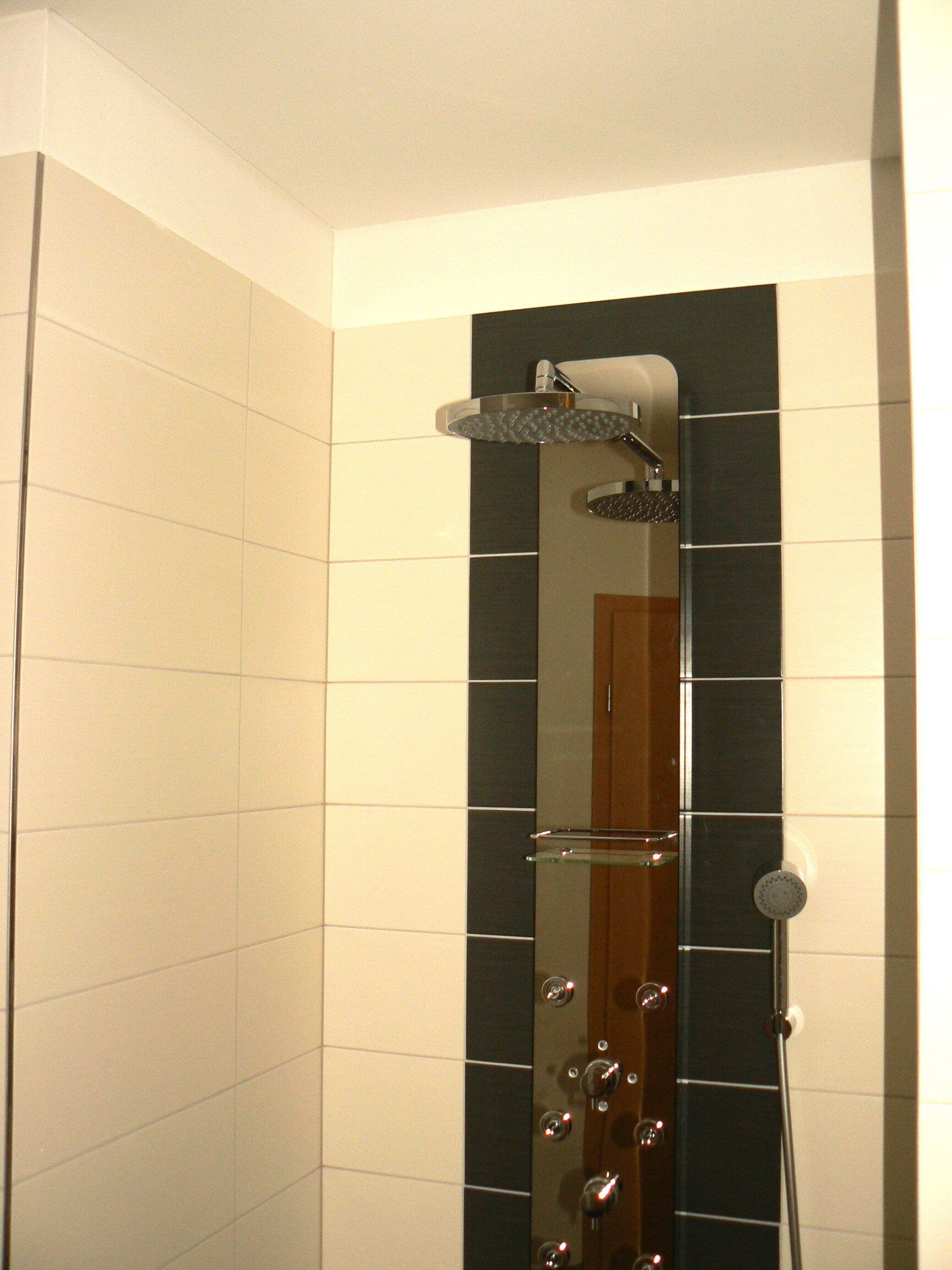 Dusche mit dunkler Akzentwand, mehreren Duschköpfen und hell gefliesten Wänden.