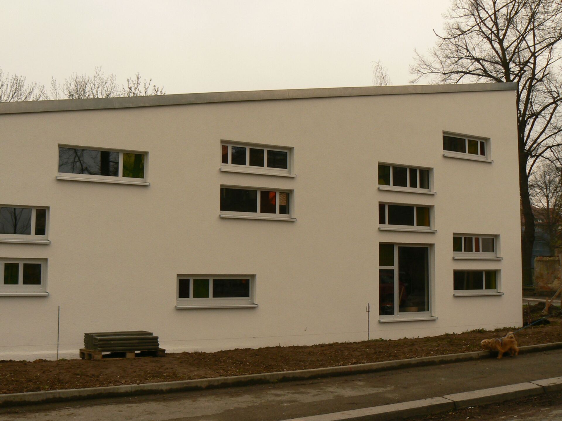 Weißes Gebäude mit unregelmäßig angeordneten Fenstern. Brauner Schmutz und ein im Vordergrund sichtbarer Hund.