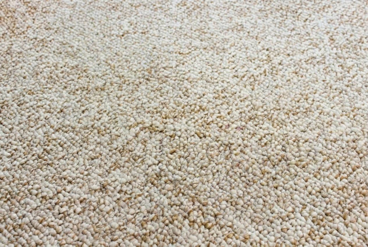 Beige, textured carpet up close.