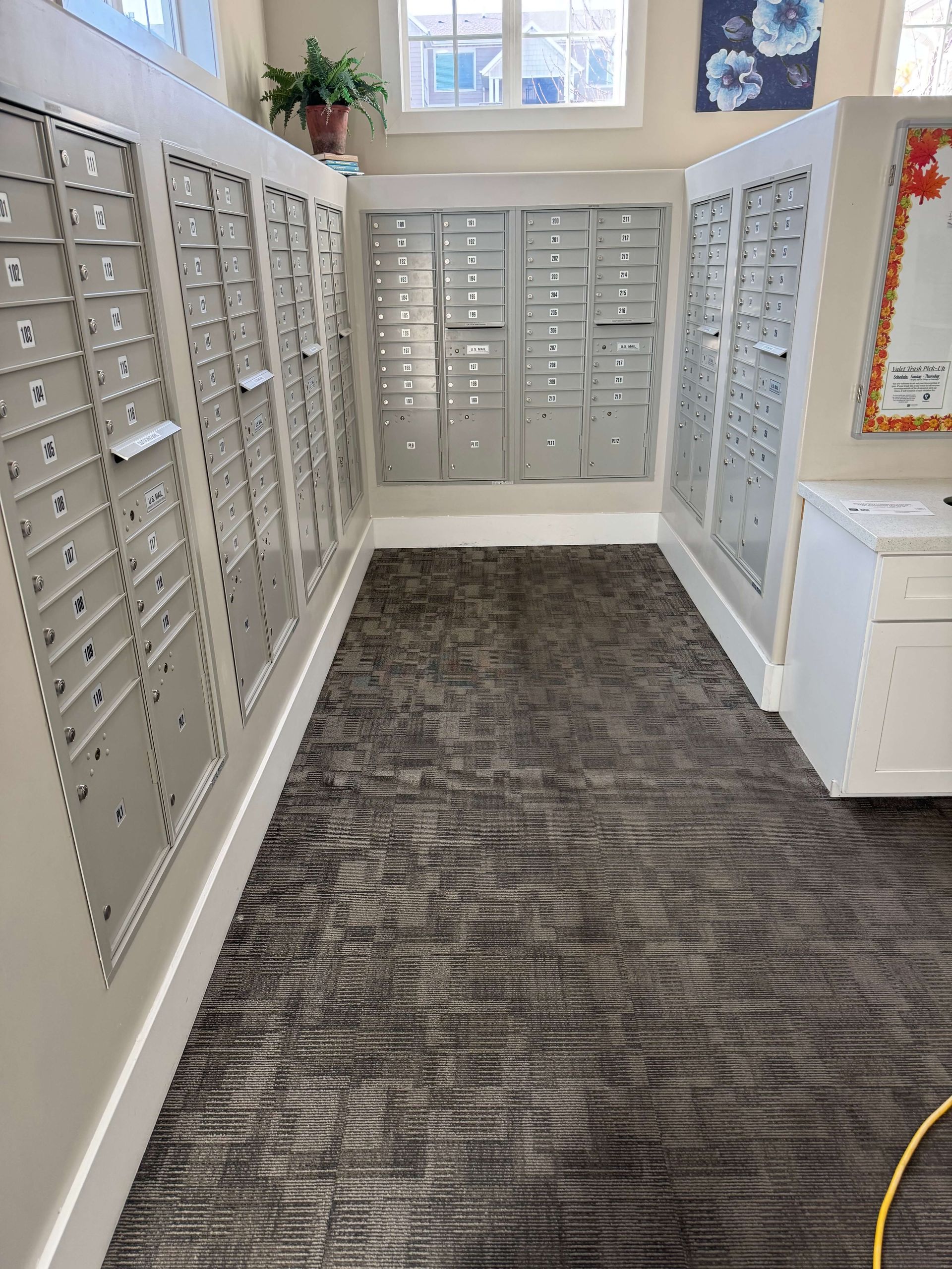 Mailboxes in a hallway, metal doors on white walls, gray carpet, bright lighting.