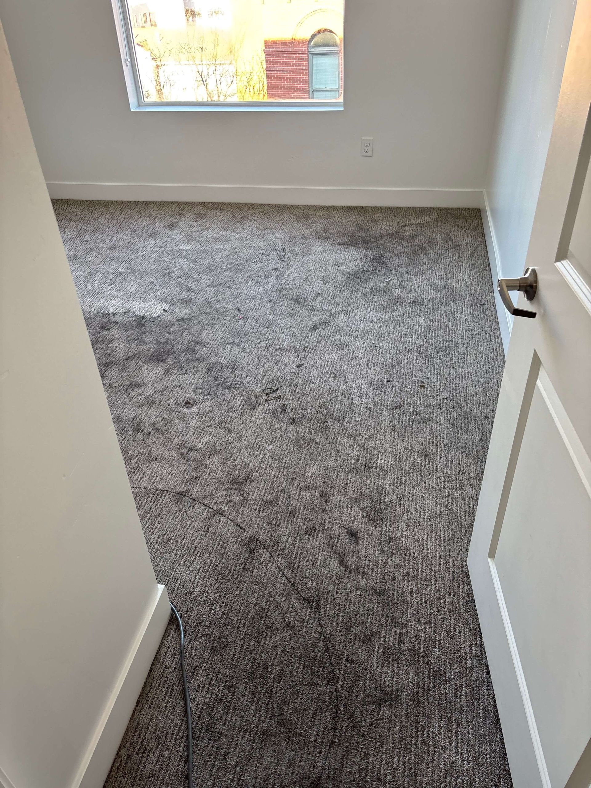 A room with gray carpet, a white door, and a window in the background.