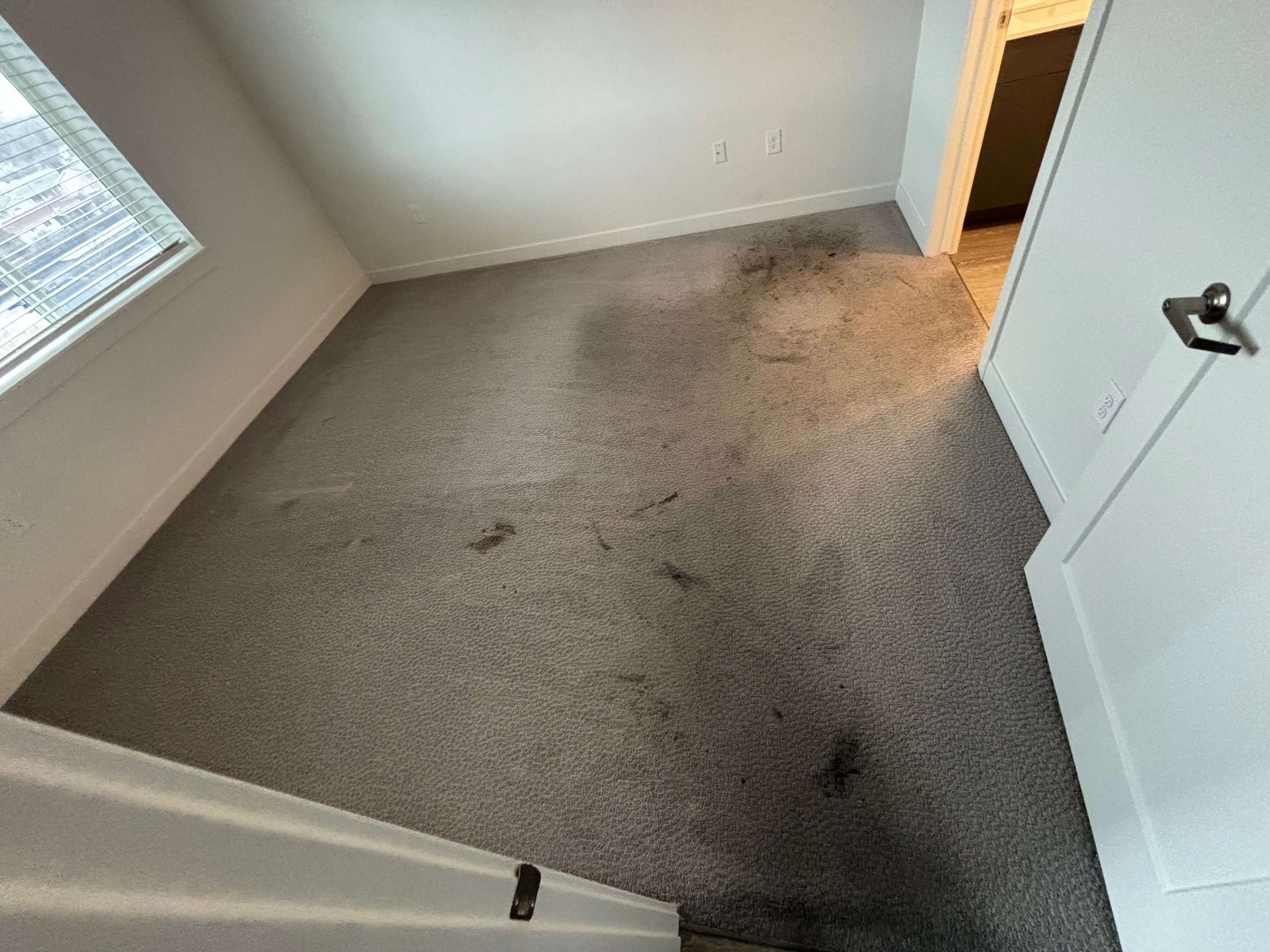 Room with light gray carpet, stained in several spots, with a window and a doorway.