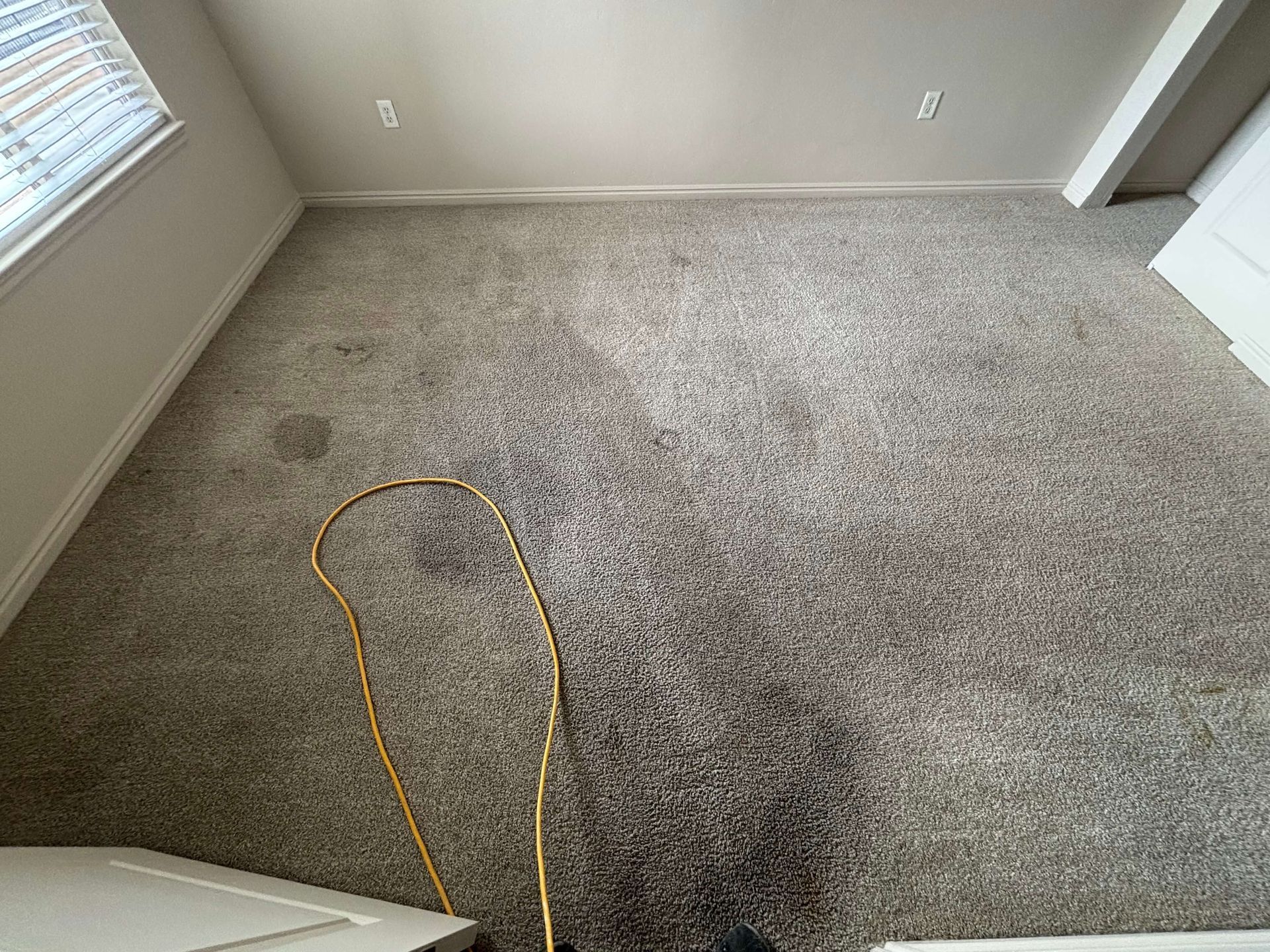 A dirty carpet in a room with a window and doorway. A hose lays on the floor.