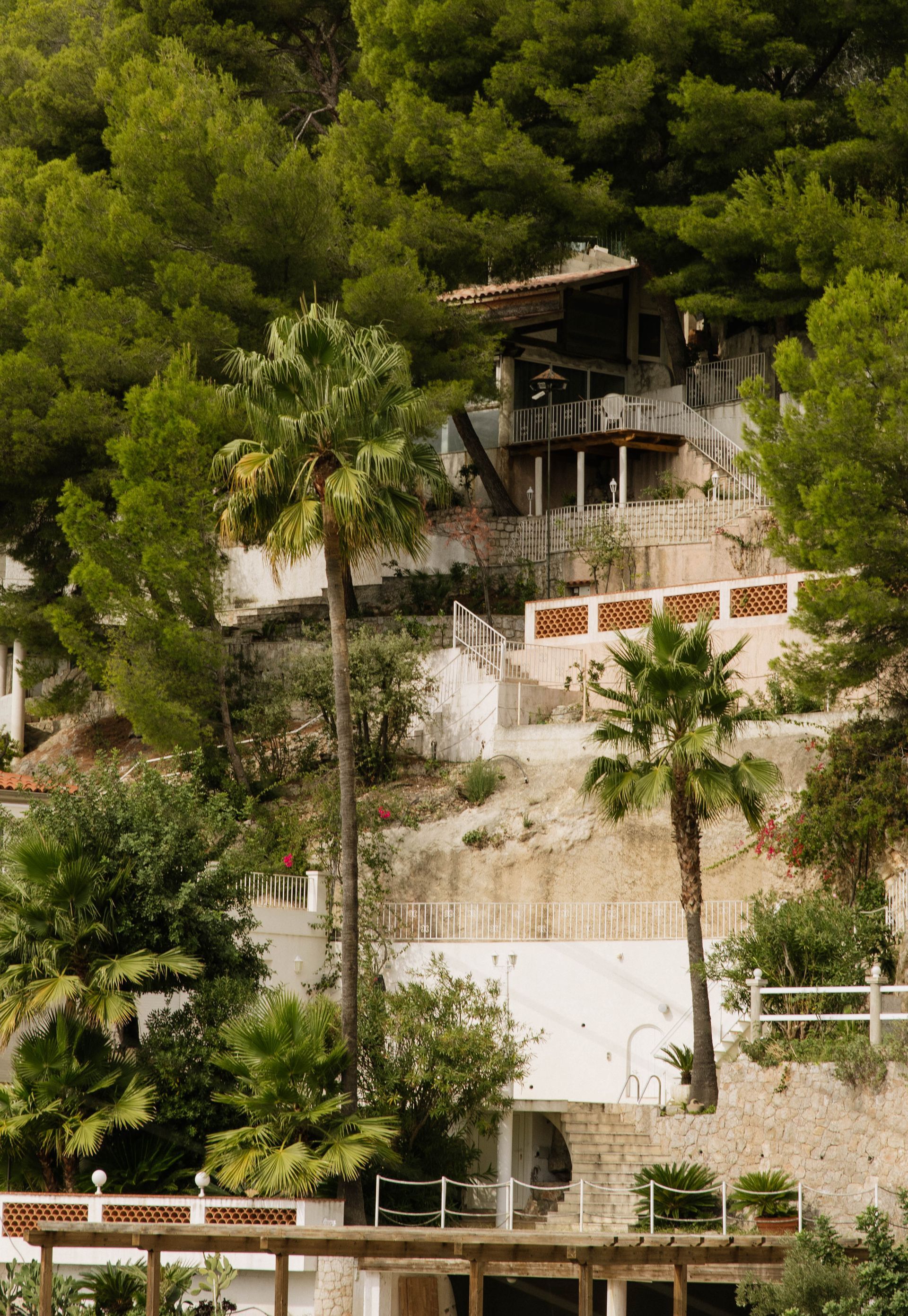 A house on a hill with palm trees in front of it