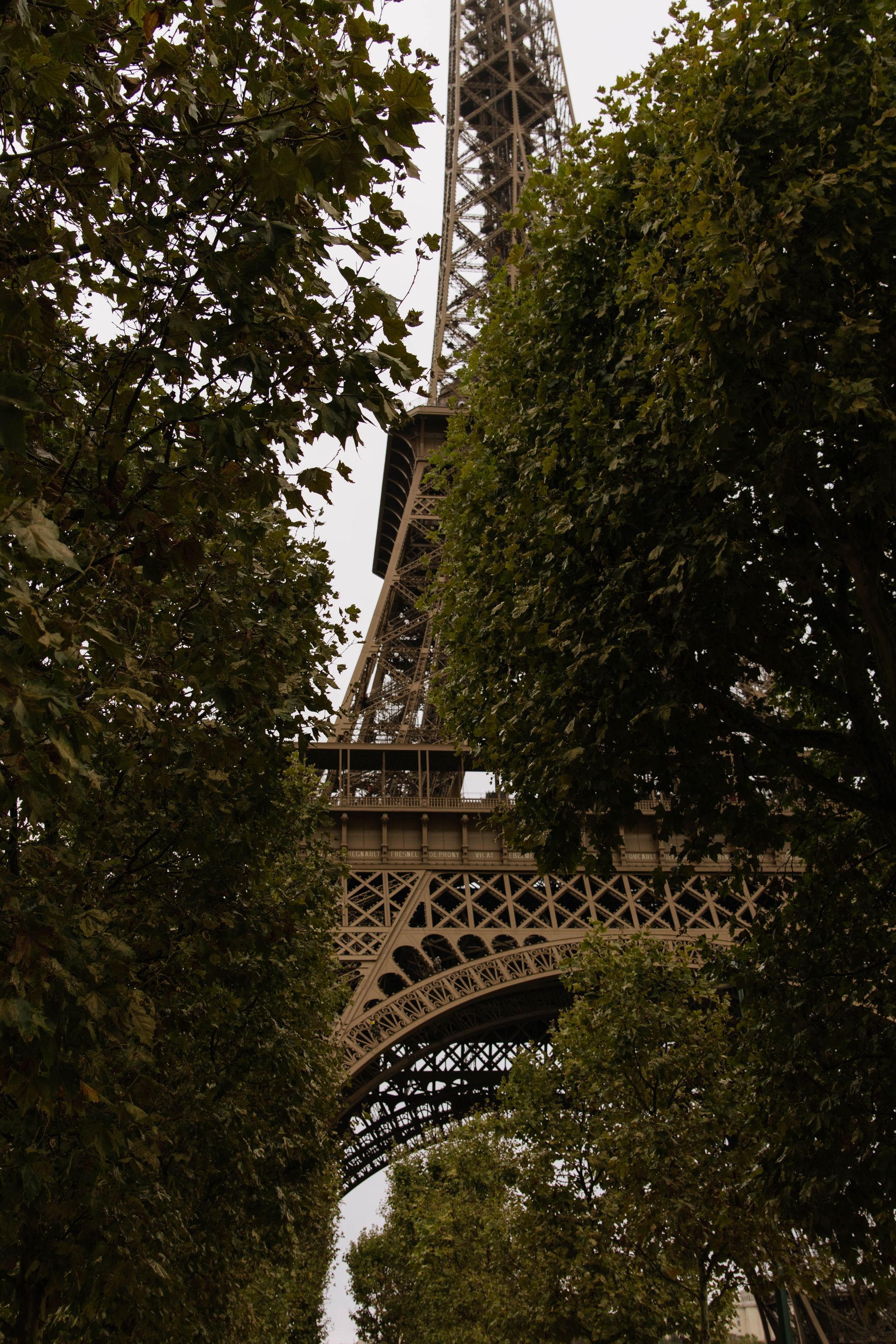 The eiffel tower is surrounded by trees in paris.