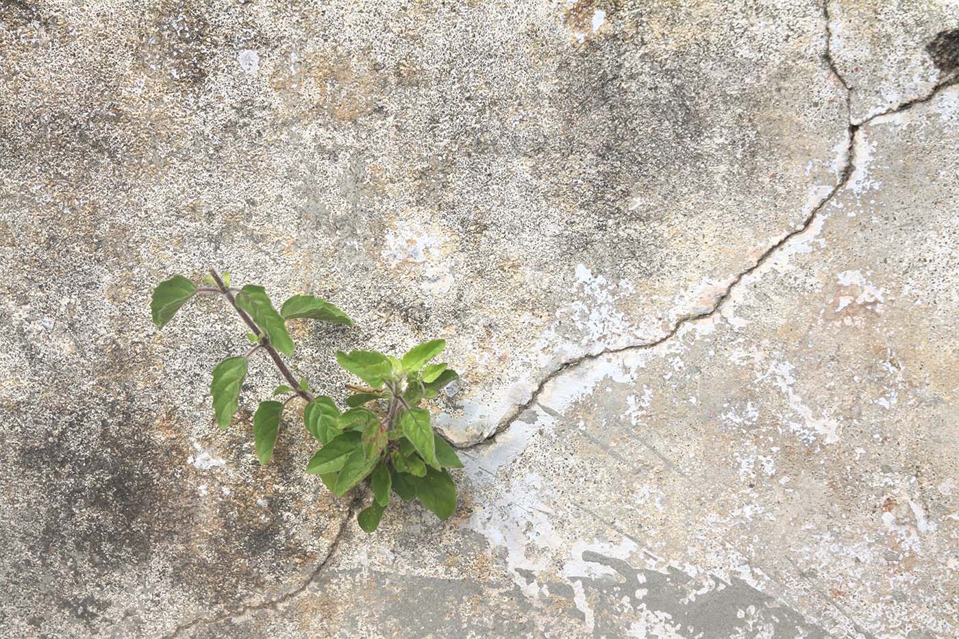 Close-up of concrete cracks forming in residential NJ driveway