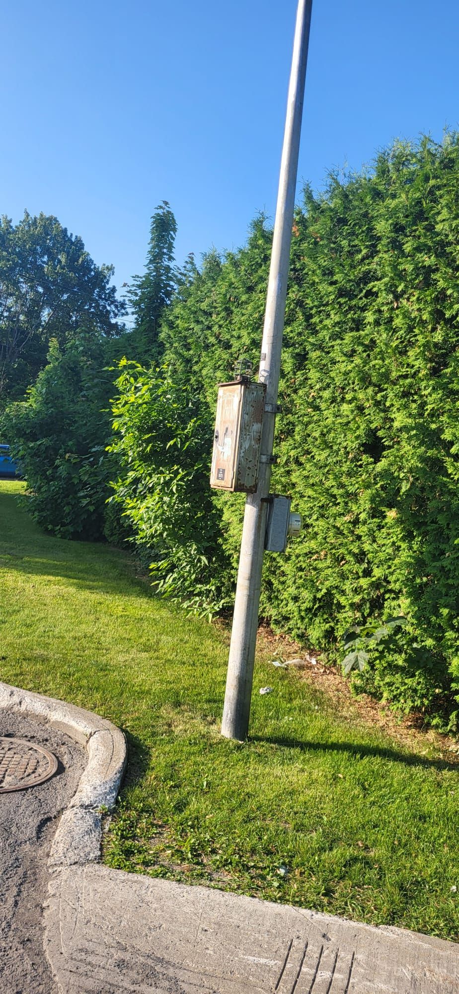 A street light is sitting in the middle of a lush green field.