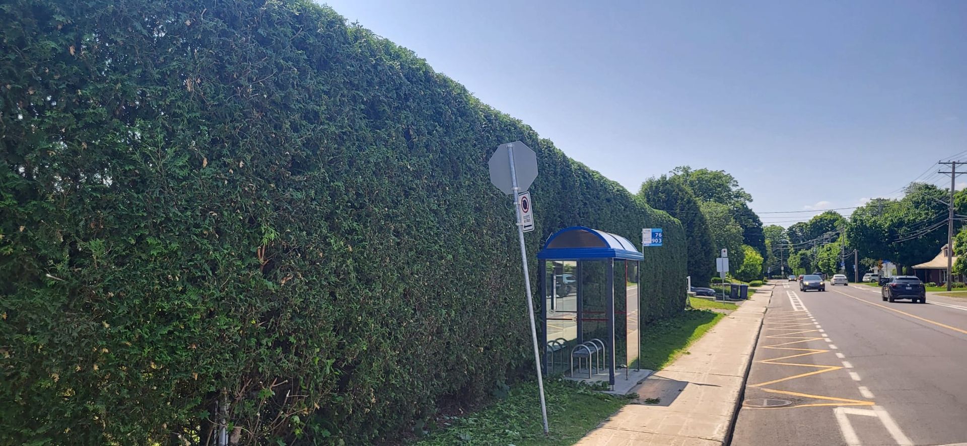 There is a bus stop on the side of the road next to a hedge.