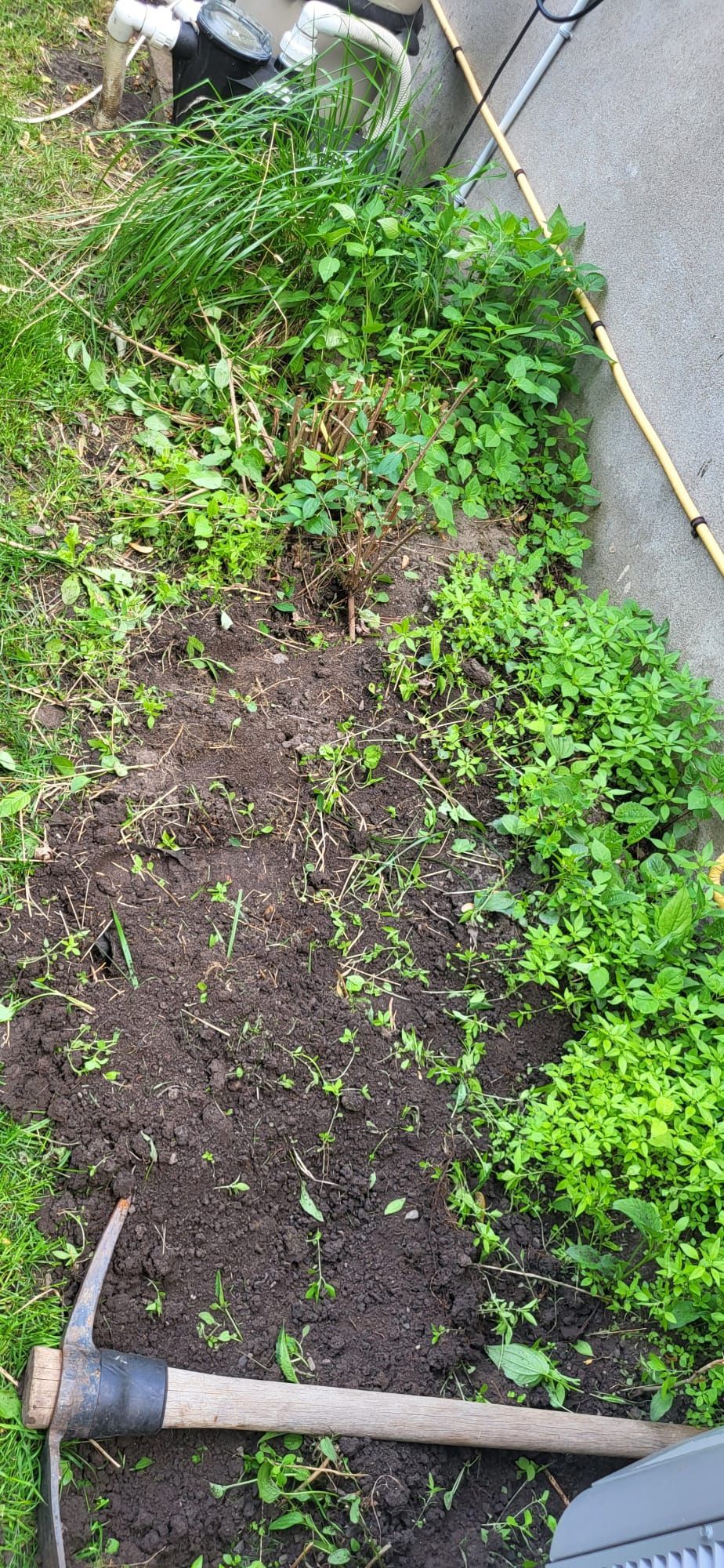 A pickaxe is sitting on top of a pile of dirt in a garden.