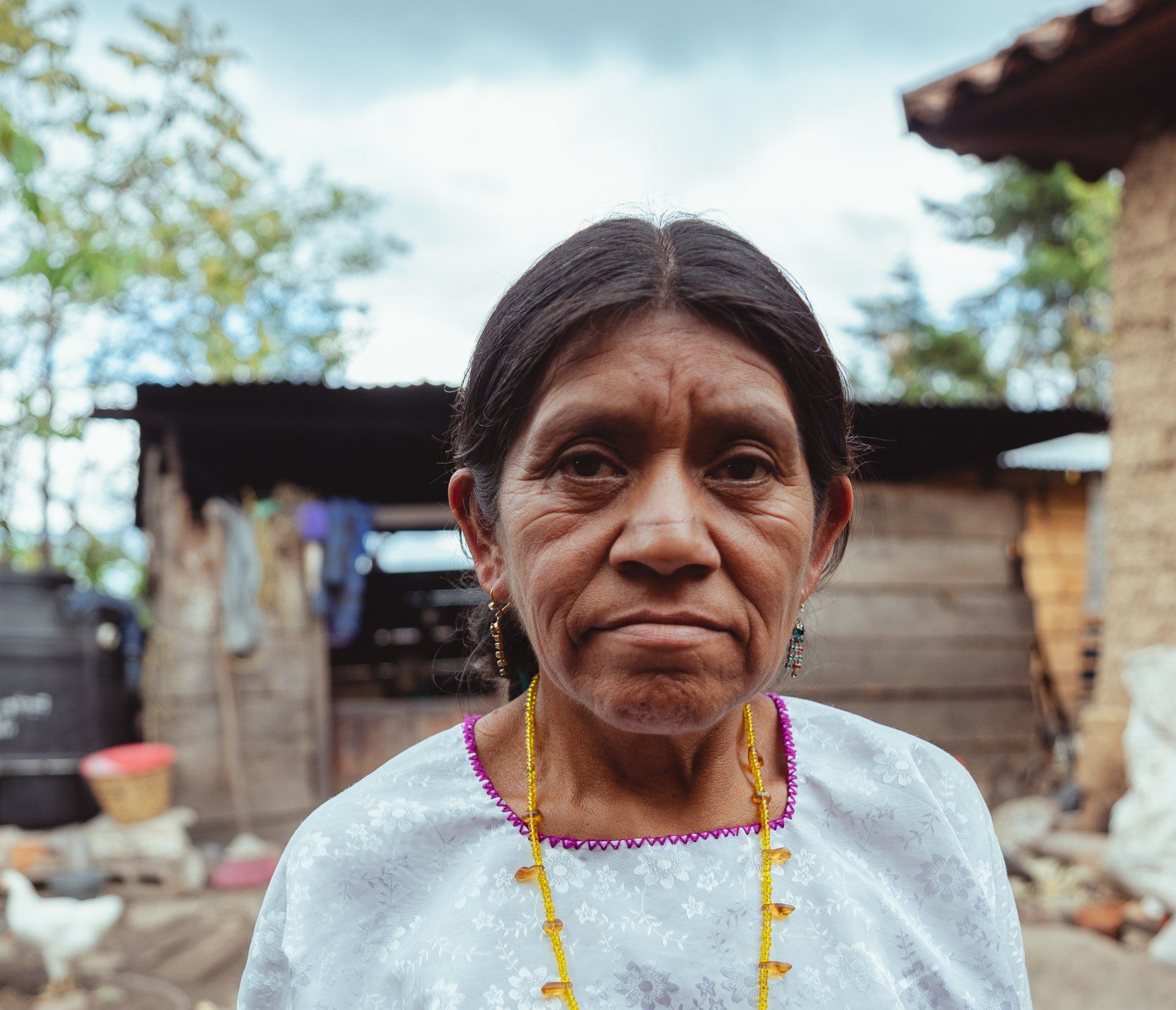 Imigrante vivendo em situação de risco, assistência social