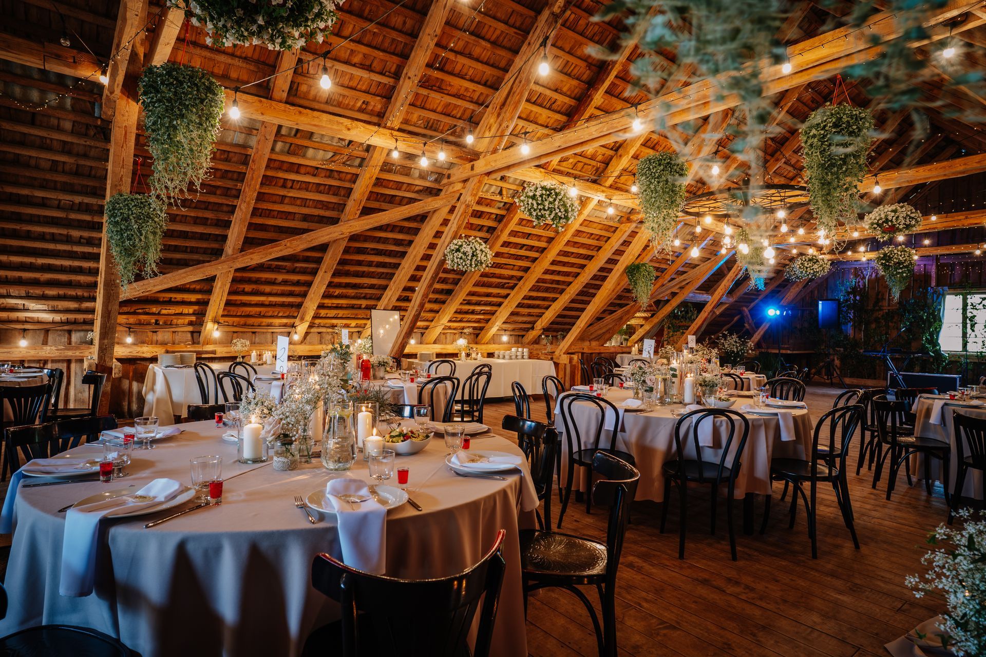 Wedding reception in a rustic barn with round tables, lights, and hanging greenery.