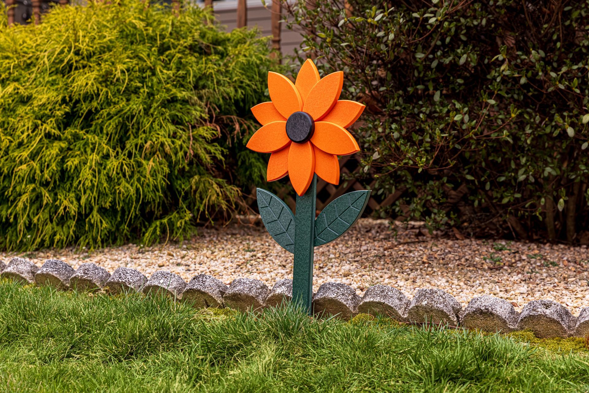 Coral rose in full bloom, surrounded by green leaves and buds.