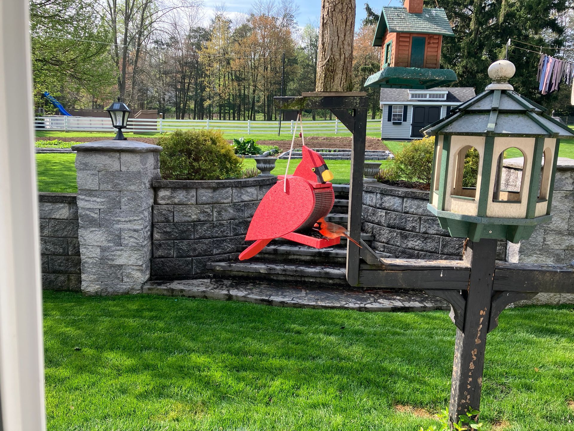 A yard with a red cardinal bird feeder, small decorative house, and stone wall.