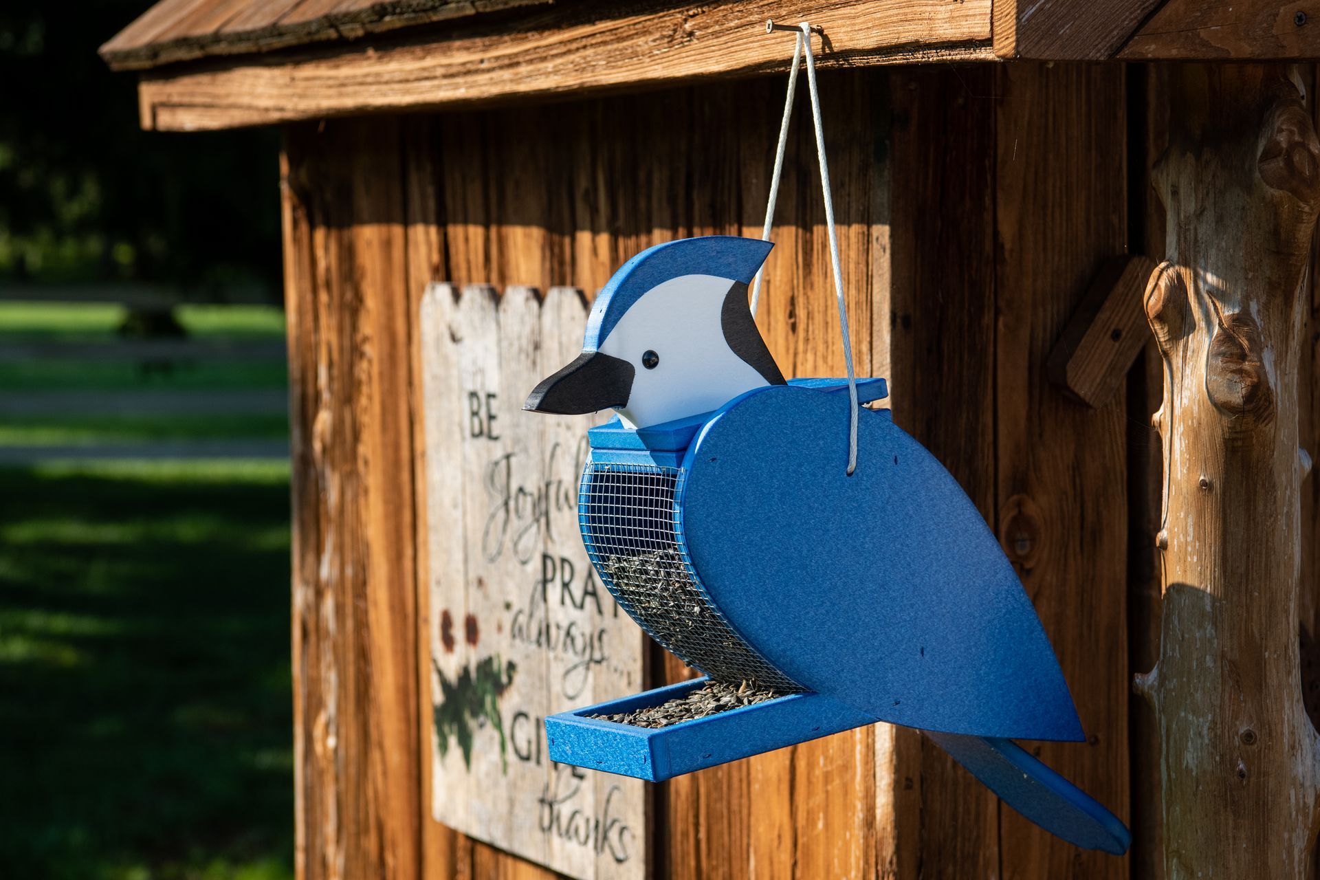 Blue jay-shaped bird feeder hanging on a wooden structure, filled with birdseed.