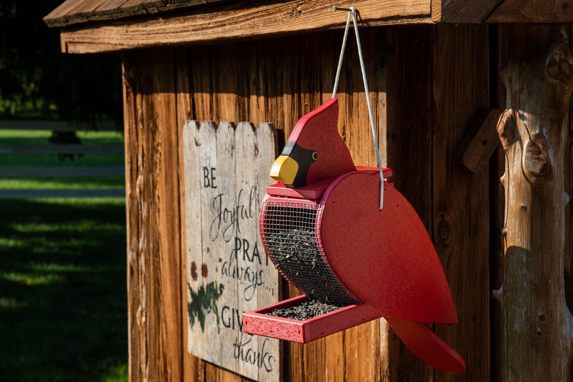 Red cardinal-shaped bird feeder hanging from a wooden structure; a sign reads