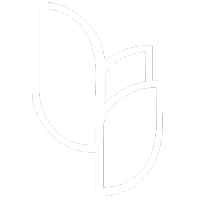 White stylized leaves overlapping.