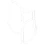 White stylized leaves overlapping.